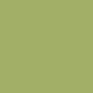 8996 Зеленый океан РЕ1